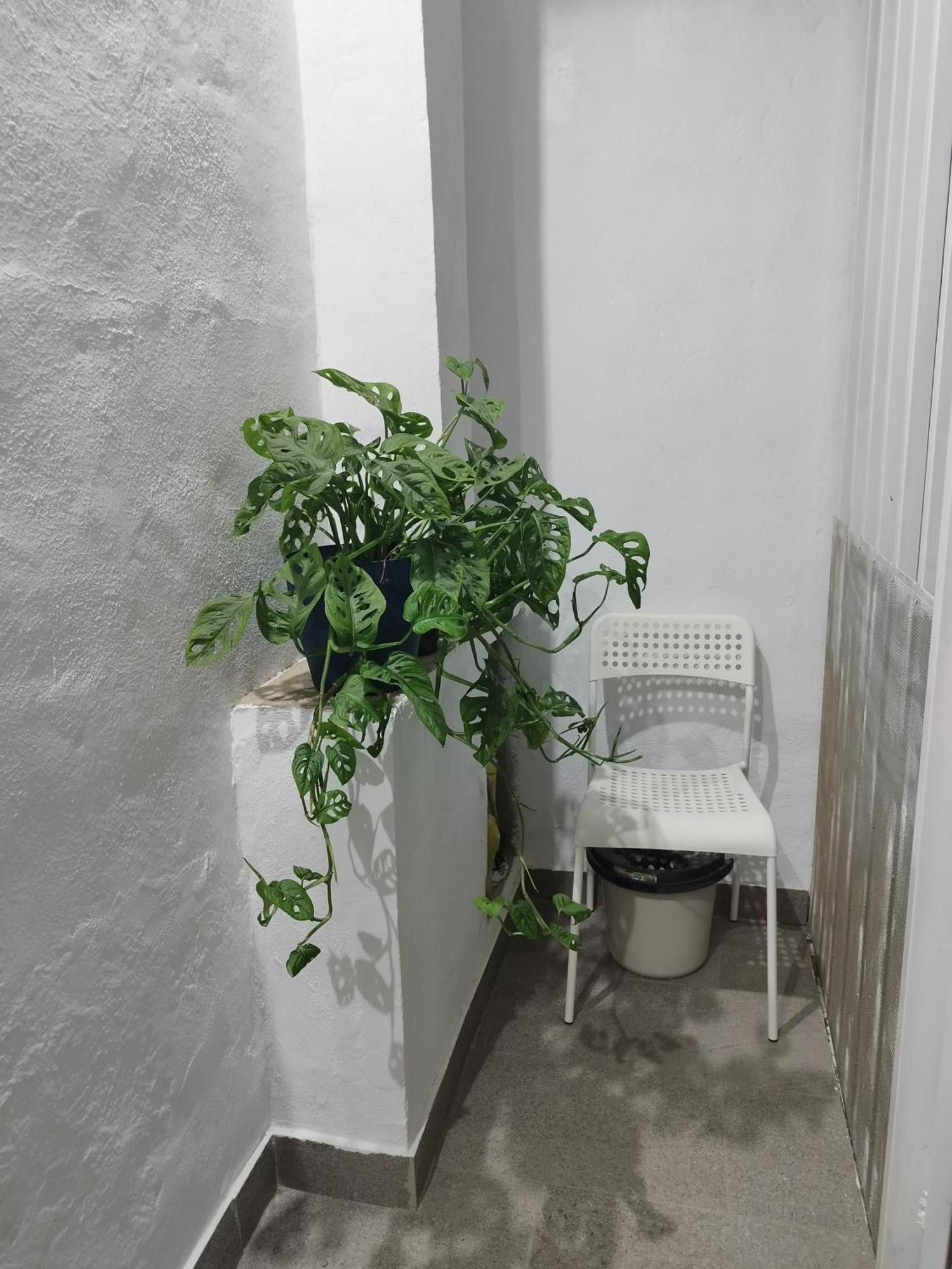 Casa De Maria Luisa Apartment Arona  Exterior foto